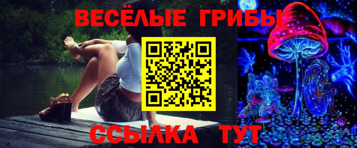 Александров  Галлюциногенные грибы Magic Shrooms  Вход с VPN 