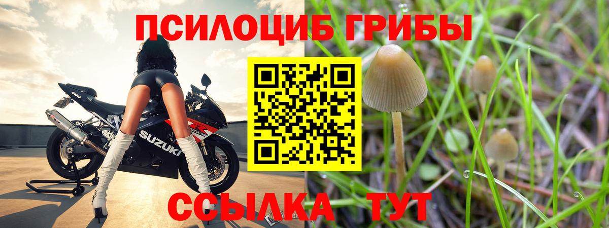 Галлюциногенные грибы мухоморы Александров